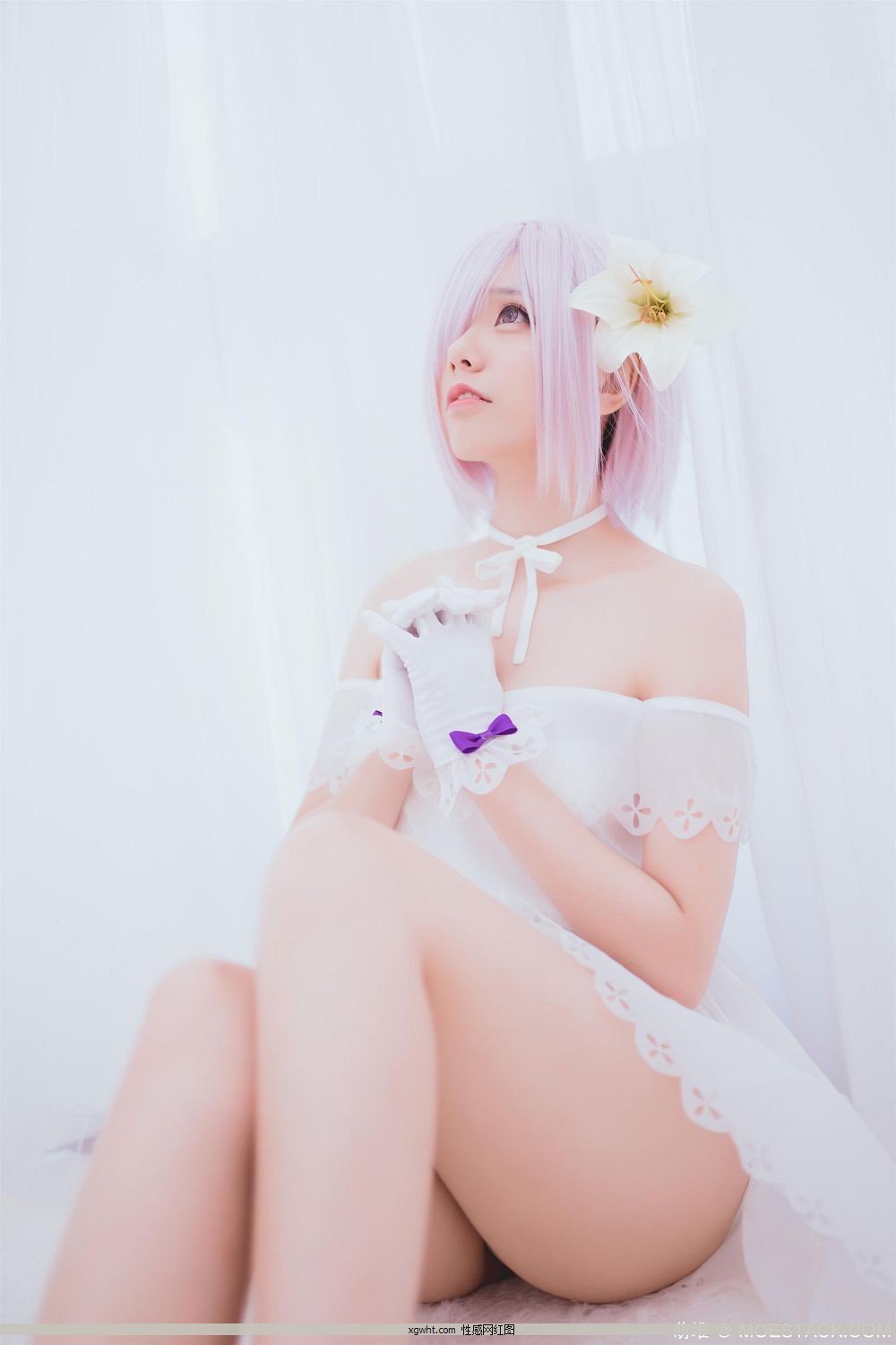 ΢Coser@СҰw –   A[44P]