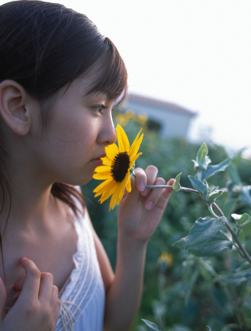 Sugaya Risako ѹɳ [Hello! Project Digital Books] Vol.34 д漯