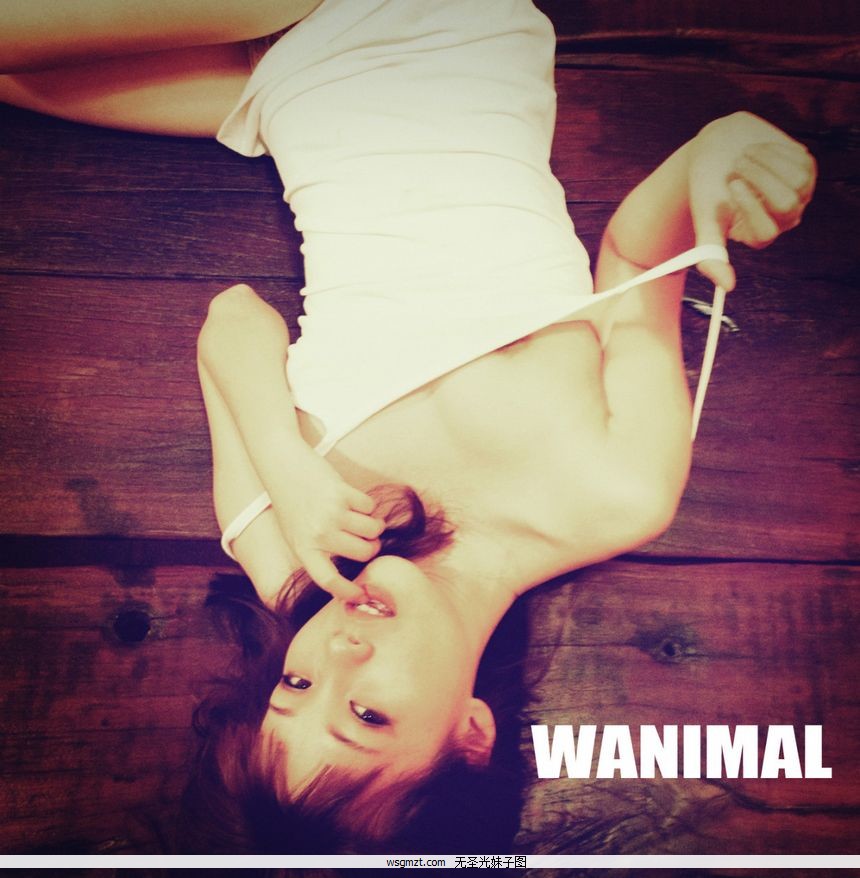 WANIMALƷʥͼ壩[130P]ȫ