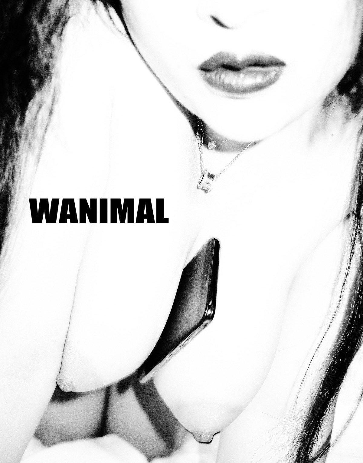 ]WANIMAL  TumblrӰ Vol.105 ռ ģ ģ P.8