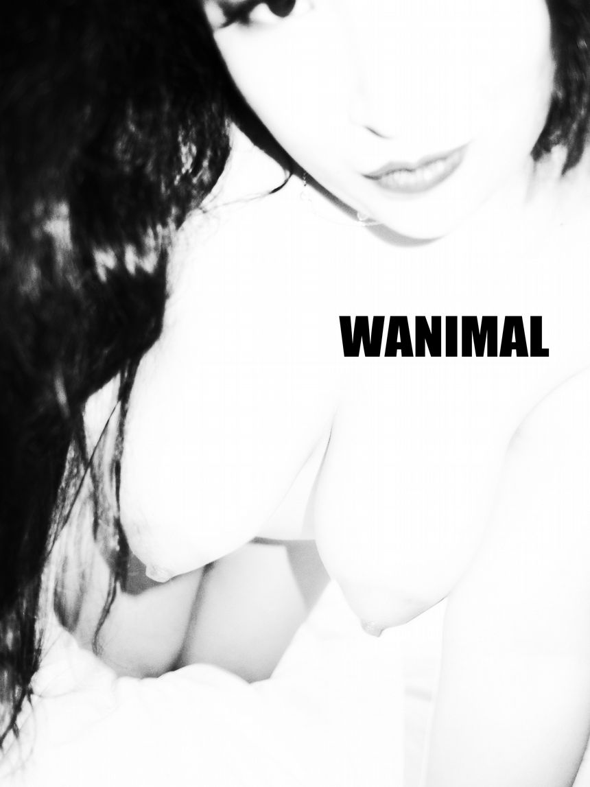 [75P] 183VIP WANIMALٷƷ ͼ ʥ () P.1 